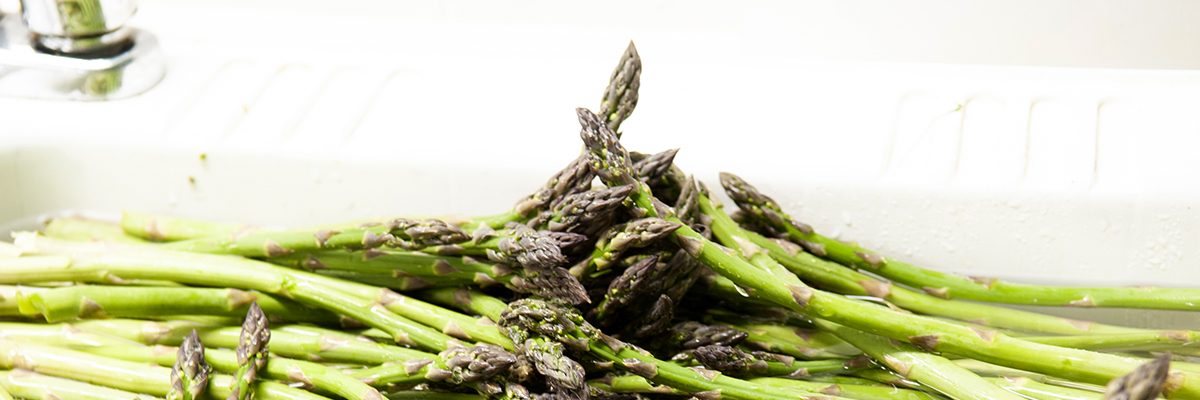 Sophie's Original Choice